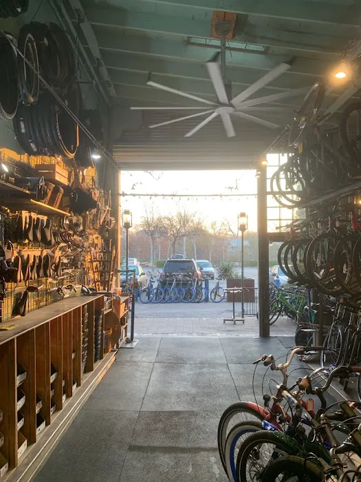 Blue Star Bike Shop Picture 3