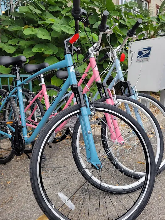 Blue Star Bike Shop Picture 9