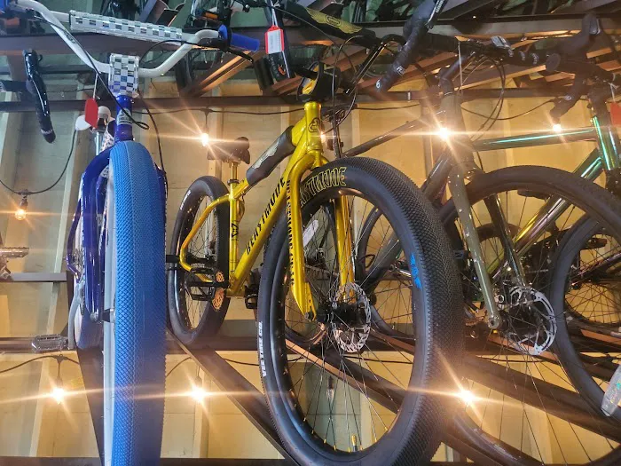 Blue Star Bike Shop Picture 8