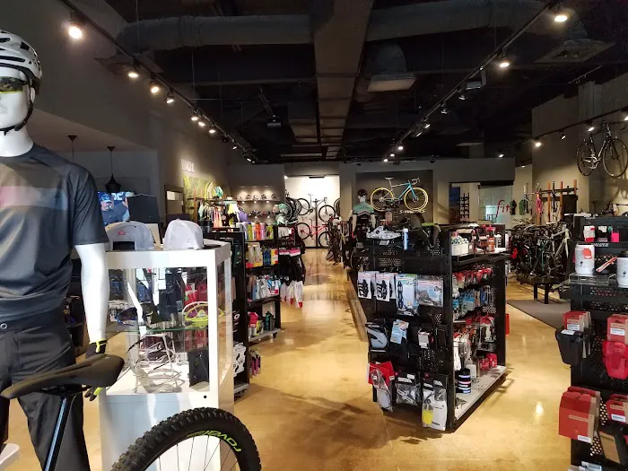Bicycle Heaven Colonnade Picture 4