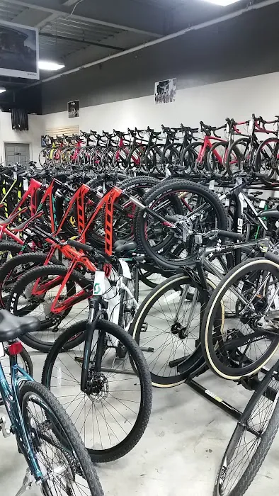 Gotta Ride Bikes Picture 7