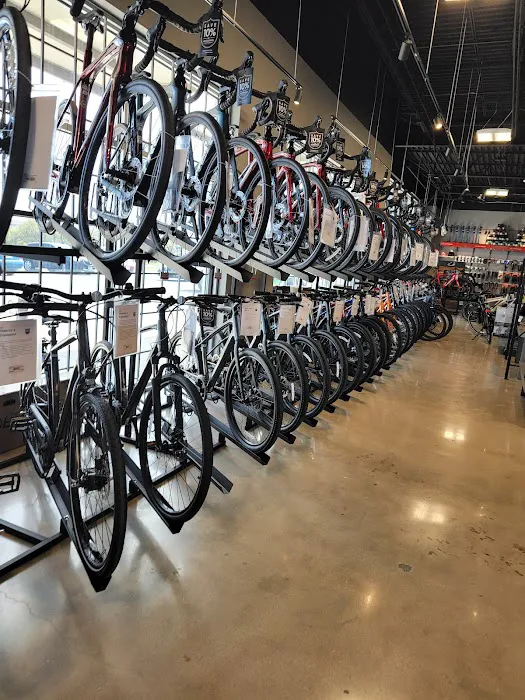 Trek Bicycle San Antonio West Picture 3