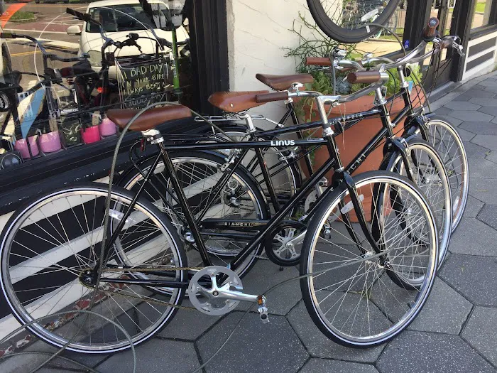 ZenCog Bicycle Company Picture 3