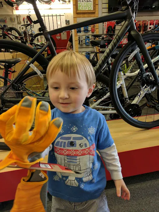 Tucker Cycles Picture 5