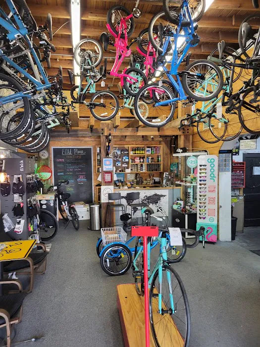 Tucker Cycles Picture 9
