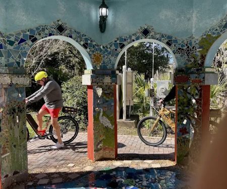 Art Bikes Jax