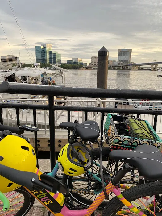 Art Bikes Jax Picture 10