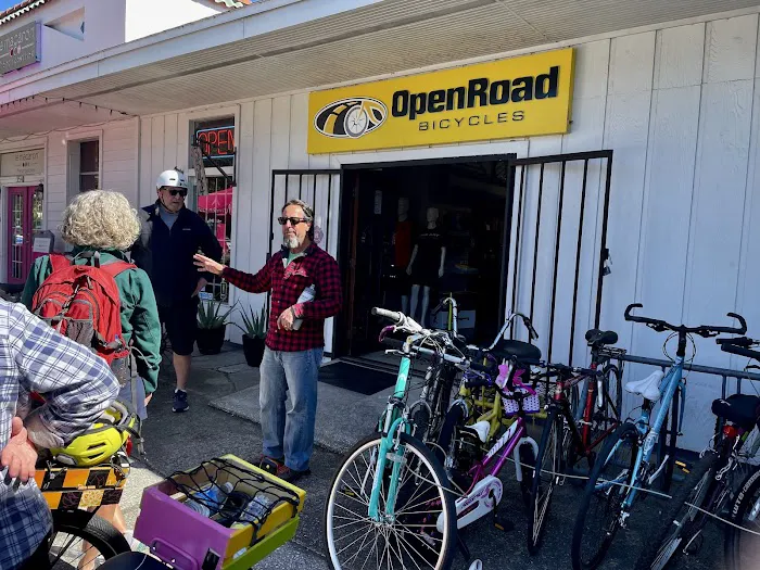 Art Bikes Jax Picture 3
