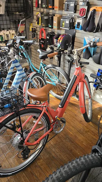 Art Bikes Jax Picture 4