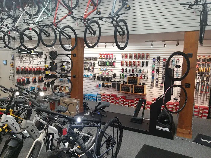 Open Road Bicycles Picture 4