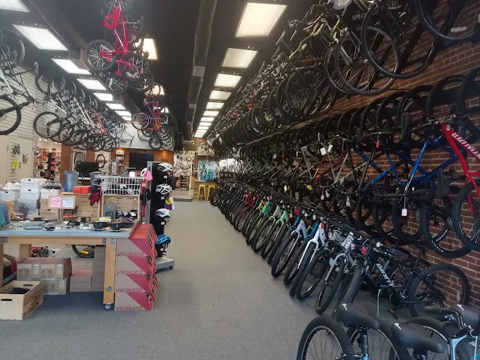 Open Road Bicycles Picture 5