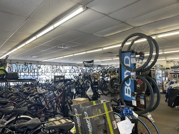 Champion Cycling Picture 6