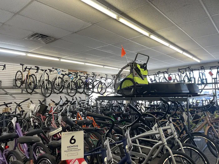 Champion Cycling Picture 2