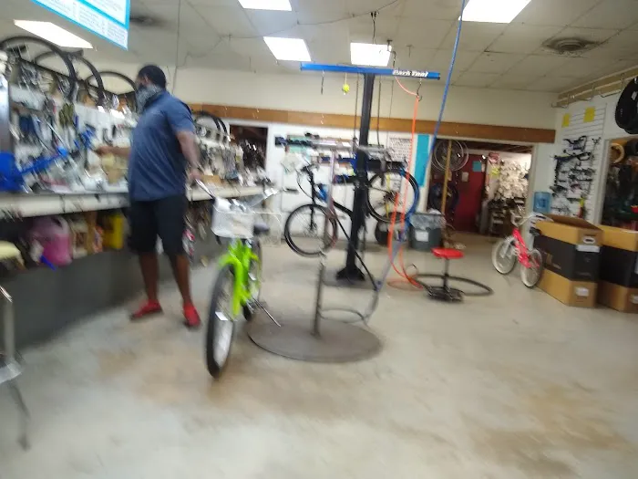 Trek Bicycle Jacksonville Lakeshore Picture 9