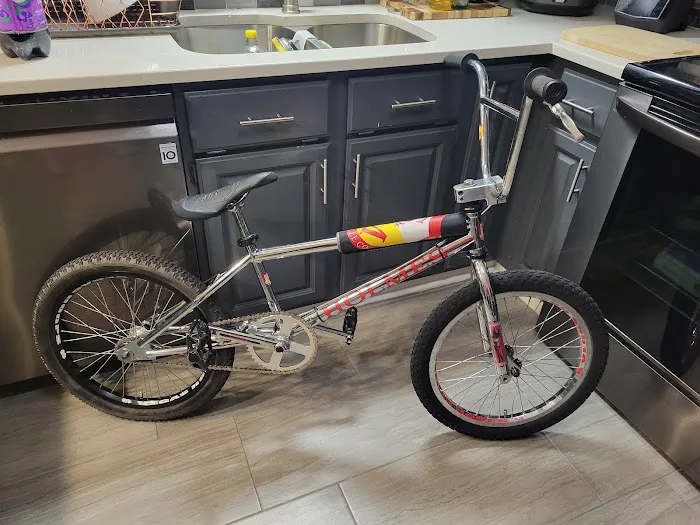 Planet Bicycle Picture 4