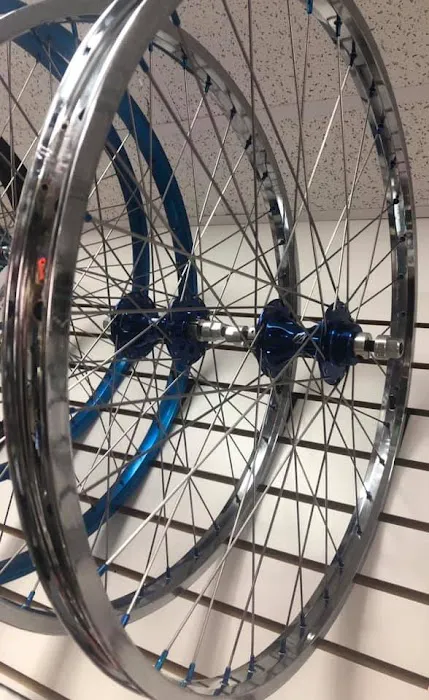 Planet Bicycle Picture 5