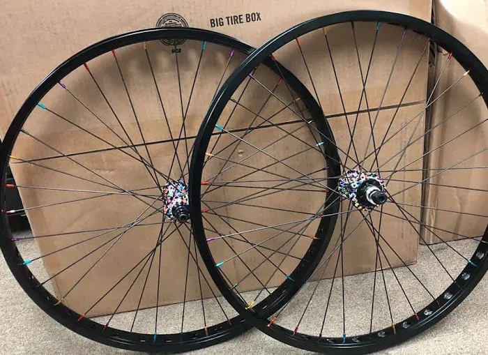 Planet Bicycle Picture 8