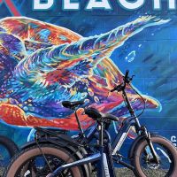 Beach E-Bikes Rentals & Sales ico