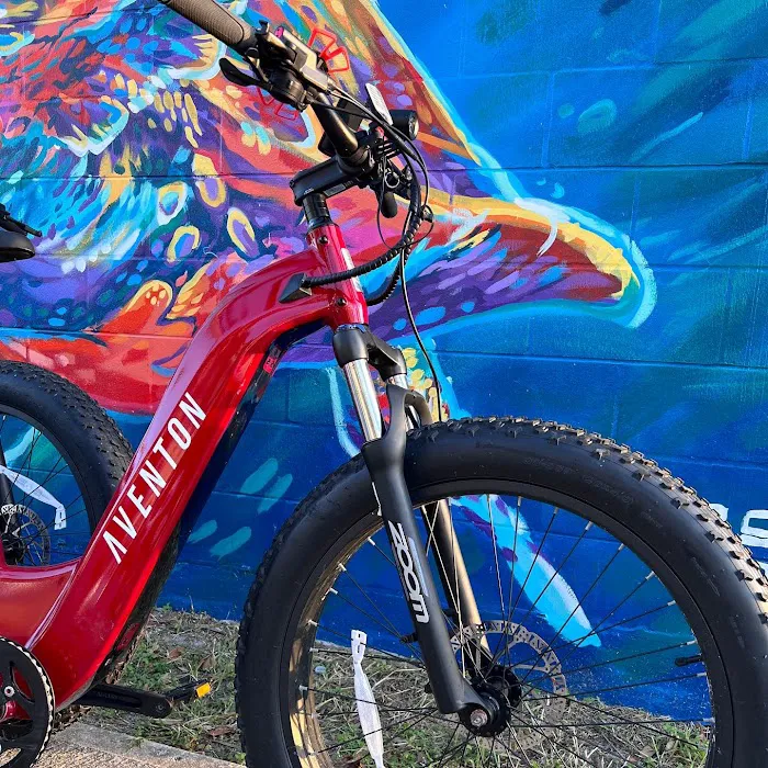 Beach E-Bikes Rentals & Sales Picture 6