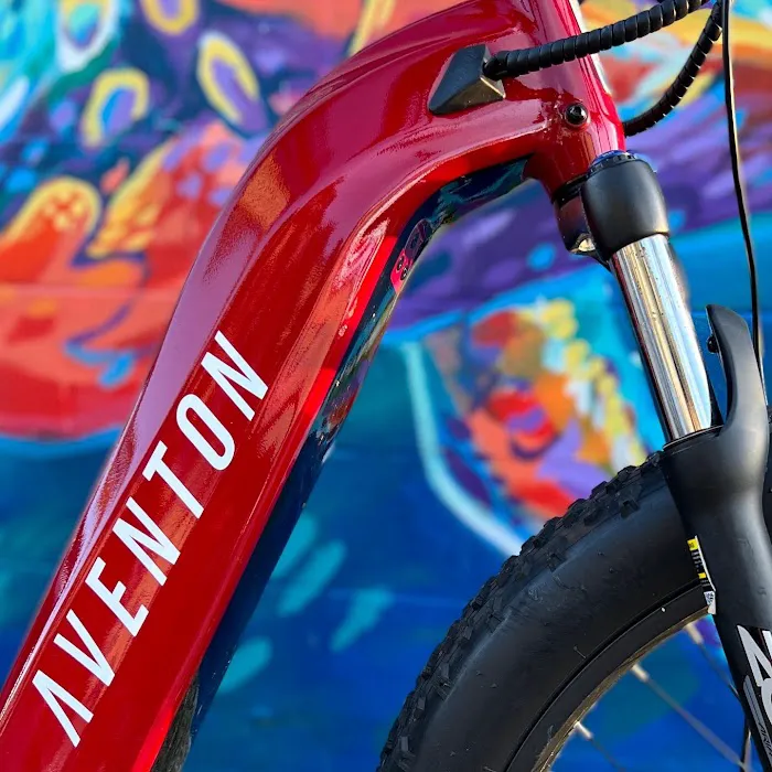 Beach E-Bikes Rentals & Sales Picture 7