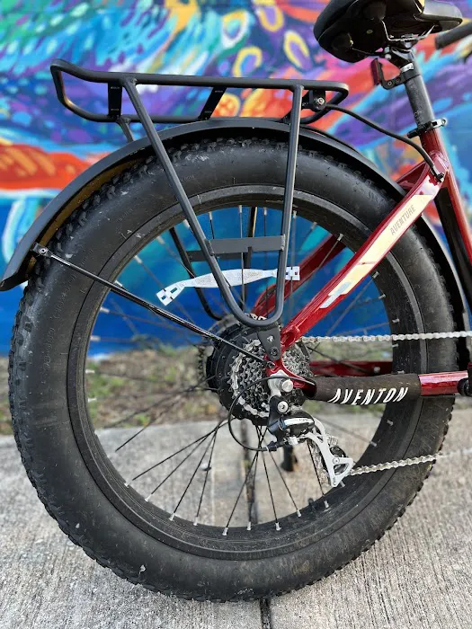 Beach E-Bikes Rentals & Sales Picture 4