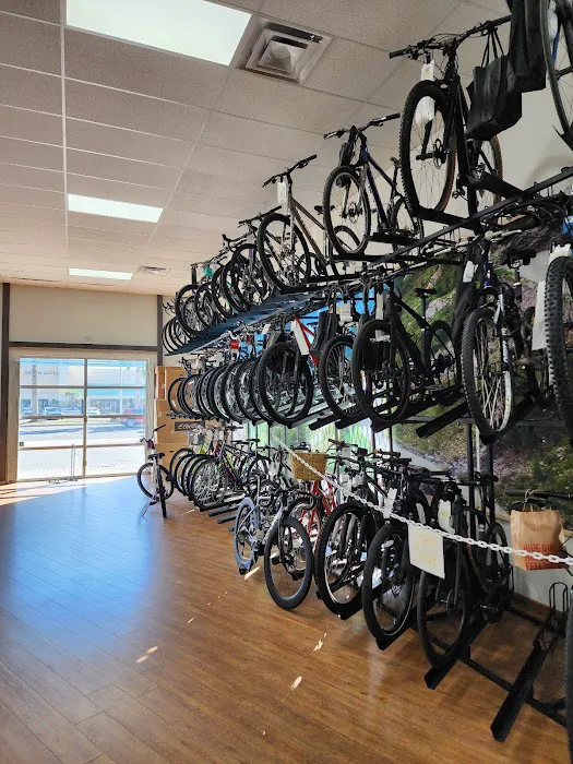 Trek Bicycle Jacksonville Beach Picture 3