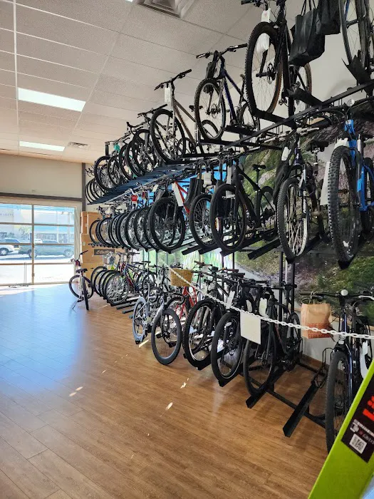 Trek Bicycle Jacksonville Beach Picture 4