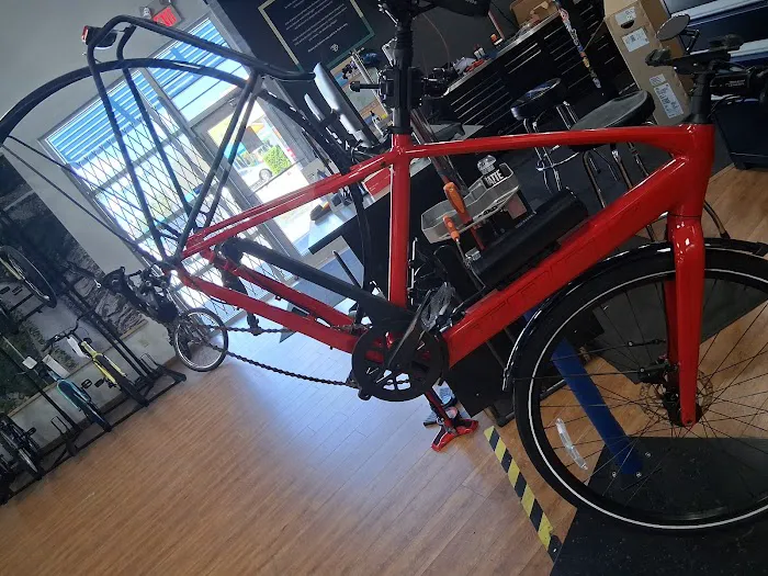 Trek Bicycle Jacksonville Beach Picture 5