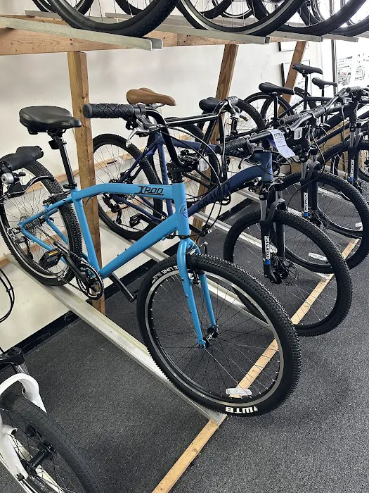 Bike and Beach Bike and Stand Up Paddle Board Shop Picture 1