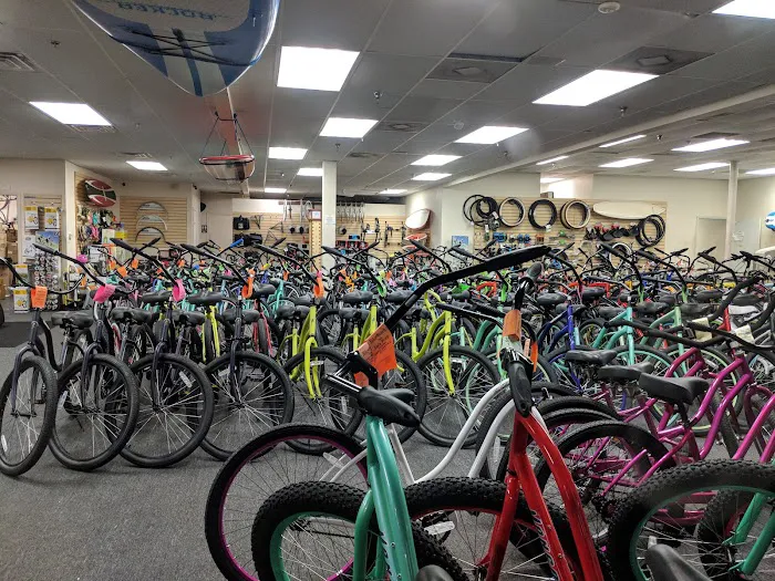 Bike and Beach Bike and Stand Up Paddle Board Shop Picture 8