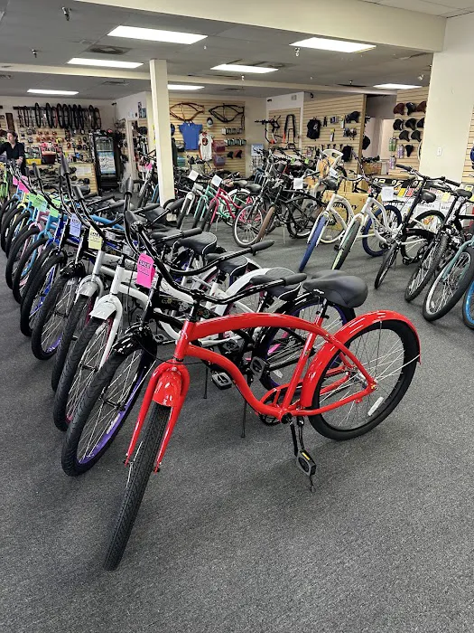 Bike and Beach Bike and Stand Up Paddle Board Shop Picture 7
