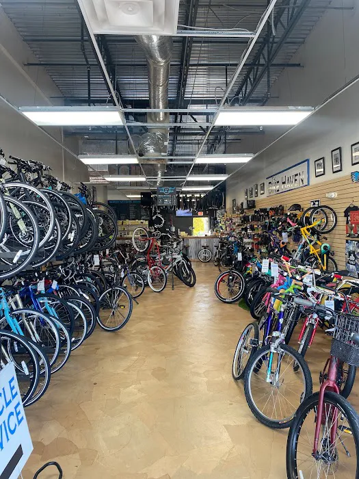 The Bike Haven Picture 5