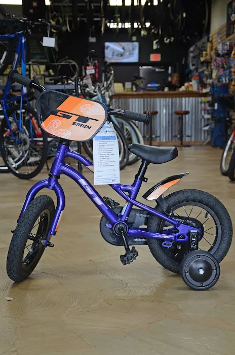 The Bike Haven Picture 4