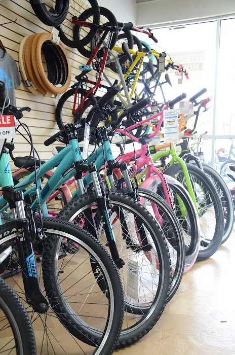 The Bike Haven Picture 1