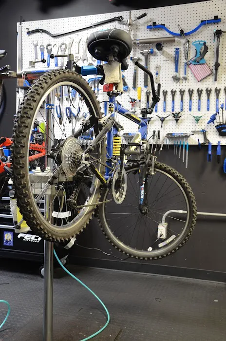 The Bike Haven Picture 9