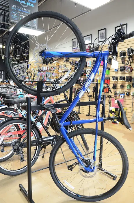The Bike Haven Picture 3