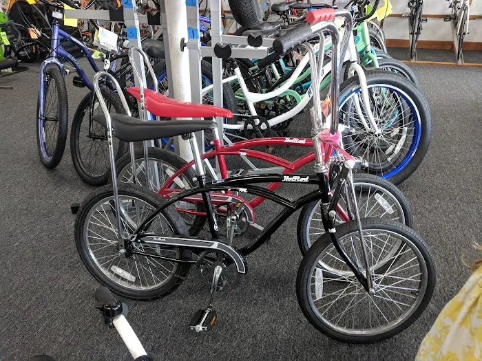 Bike Shop Cycle Spectrum Picture 10