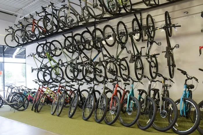 Open Road Bicycles Picture 1