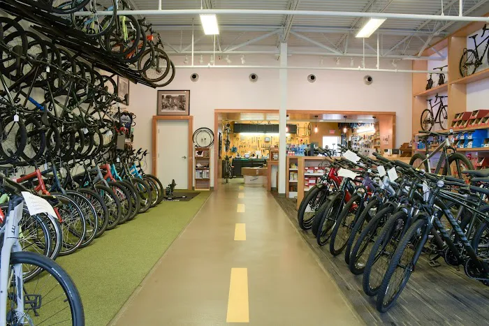 Open Road Bicycles Picture 5