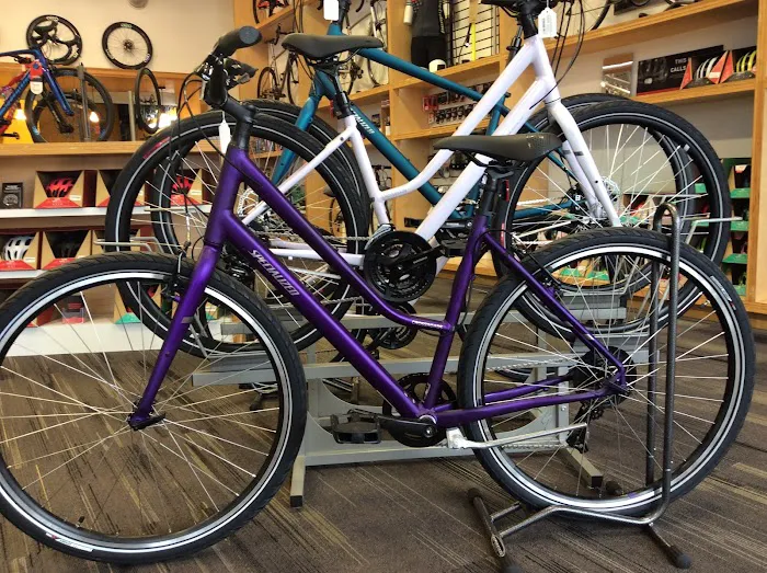 Open Road Bicycles Picture 9