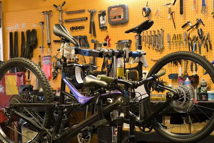 Open Road Bicycles Picture 7
