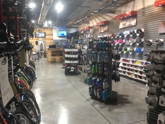 Bicycles Etc. Picture 8