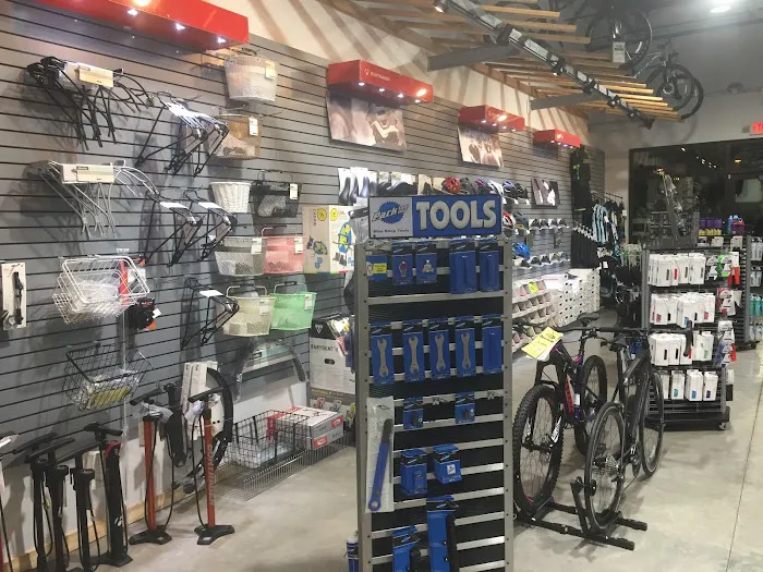 Bicycles Etc. Picture 10