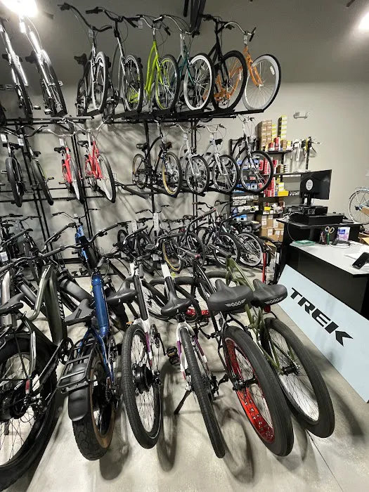 Island Life Bikes-World Golf Picture 4