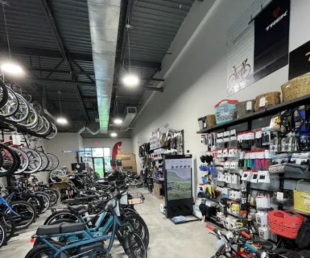 Island Life Bikes-World Golf