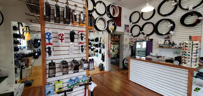 Sprockets Bike Shop Picture 4