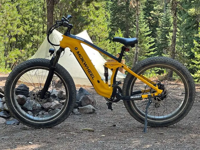 GO EBIKES Picture 3