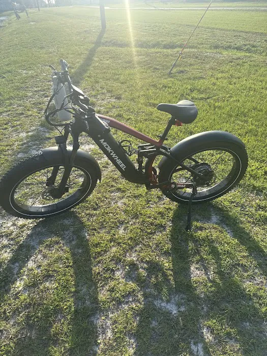 GO EBIKES Picture 7