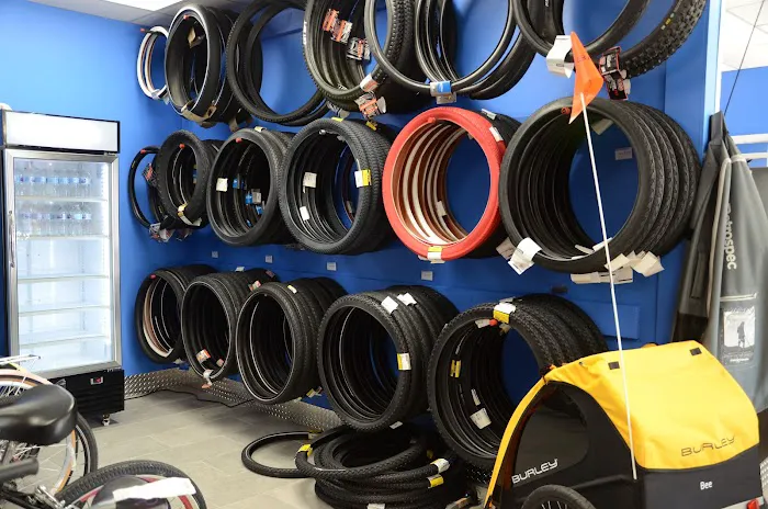 Palm Coast Bicycle Trail Shop Picture 6