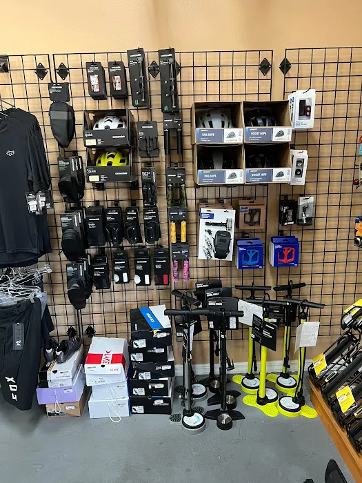Bicycle Doctor Picture 7